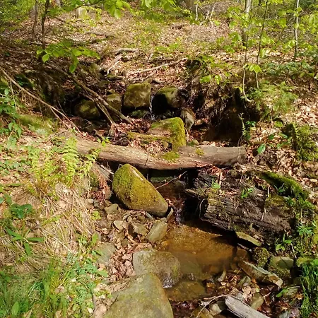 Rokosz Beskid Niski Ropica Gorna